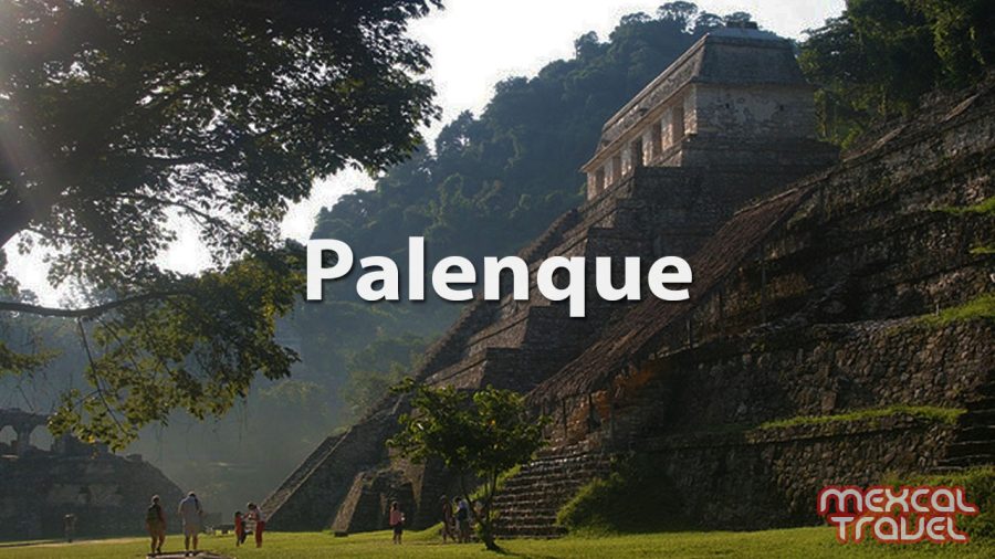 palenque-mexico-tour