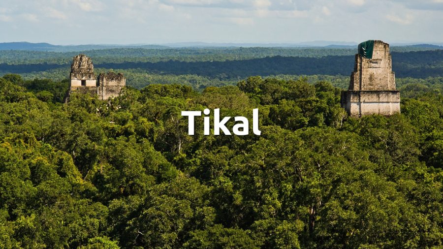 private-tour-tikal-rio-dulce