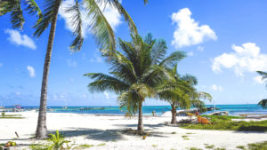 Caye-Cauker-Private-Tours-3