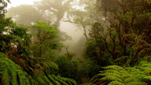 Monteverde-Private-Tours-2