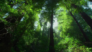 Monteverde-Private-Tours-4
