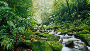 Monteverde-Private-Tours-5